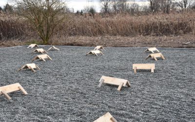 Plaże dla rybitw przygotowane