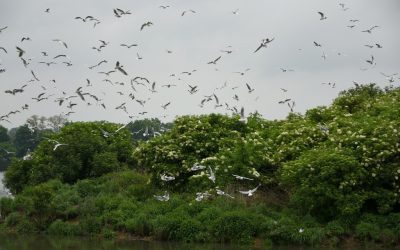 Wizyta Monitora Projektu