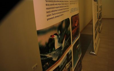 Inauguracyjne posiedzenie Komitetu Sterującego