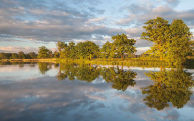 Album przyrodniczy Dolina Górnej Wisły