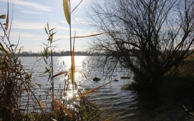 Wizyta czeskich przyrodników